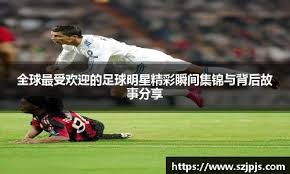 博彩行业财政依赖的风险（财政对博彩业依赖的风险）